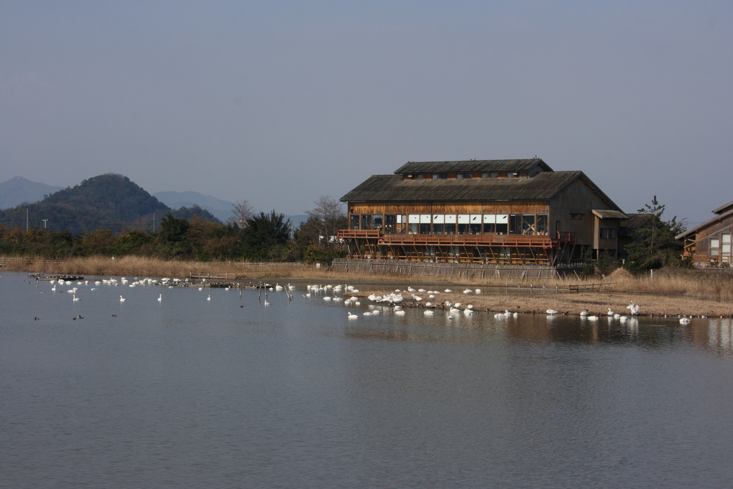 水鳥公園